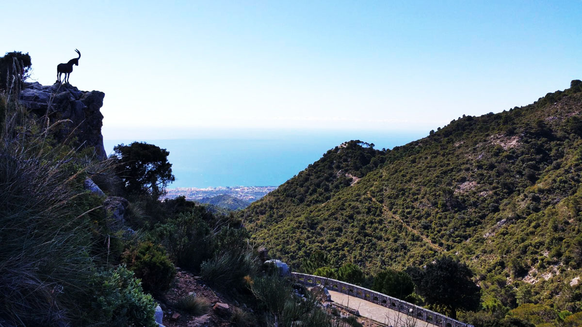 5b7164b60ee694654634954f-alto-de-la-cabra-montes.jpg
