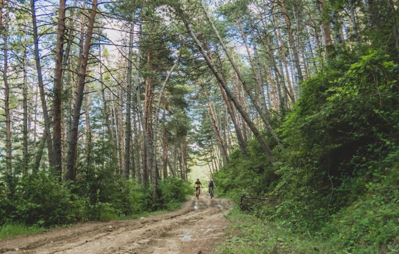 ruta MTB ruta MTB