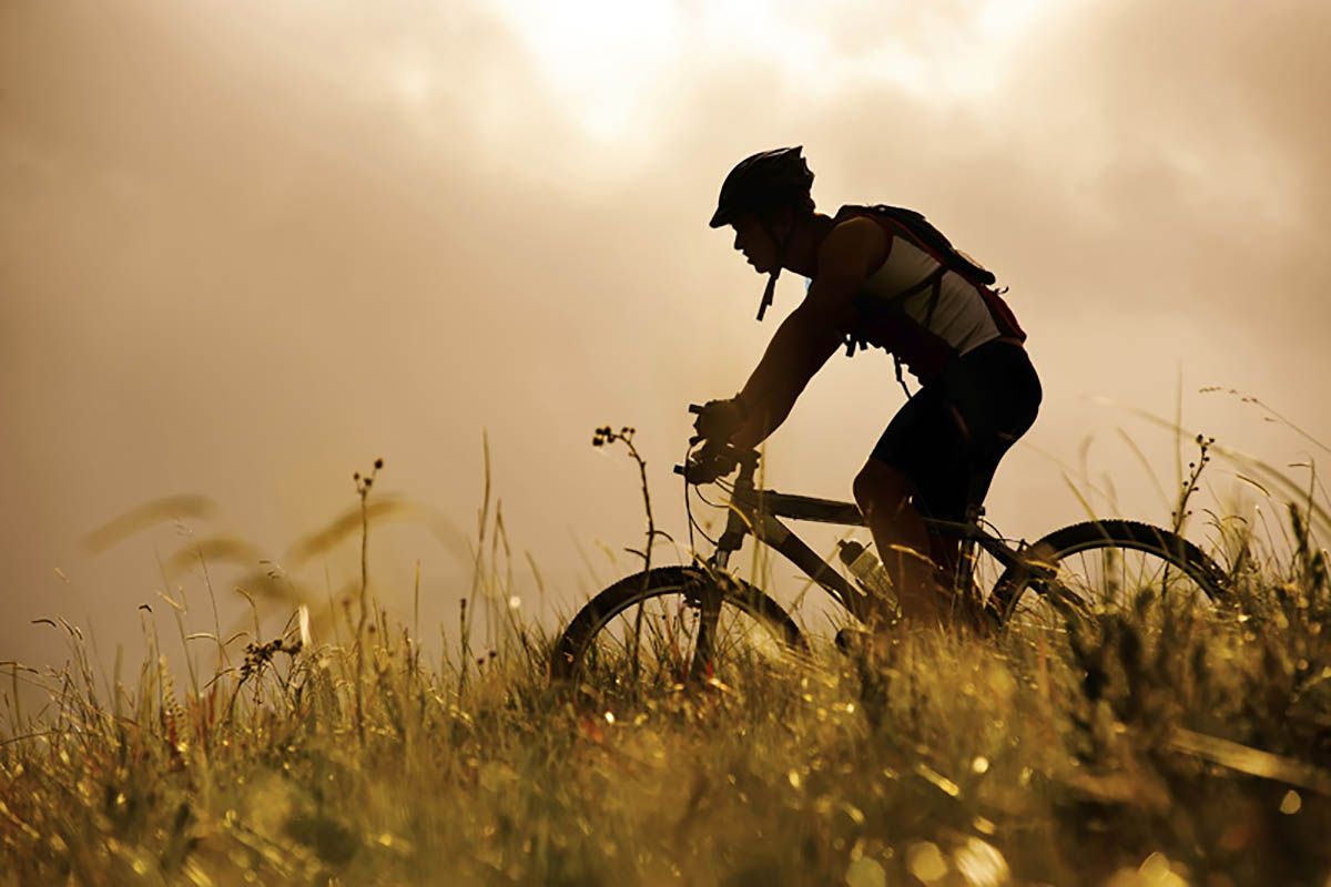 campo bici 2 campo bici 2