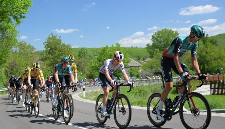 El pelotón en la subida final de la etapa reina del Tour de Hungría. El pelotón en la subida final de la etapa reina del Tour de Hungría.