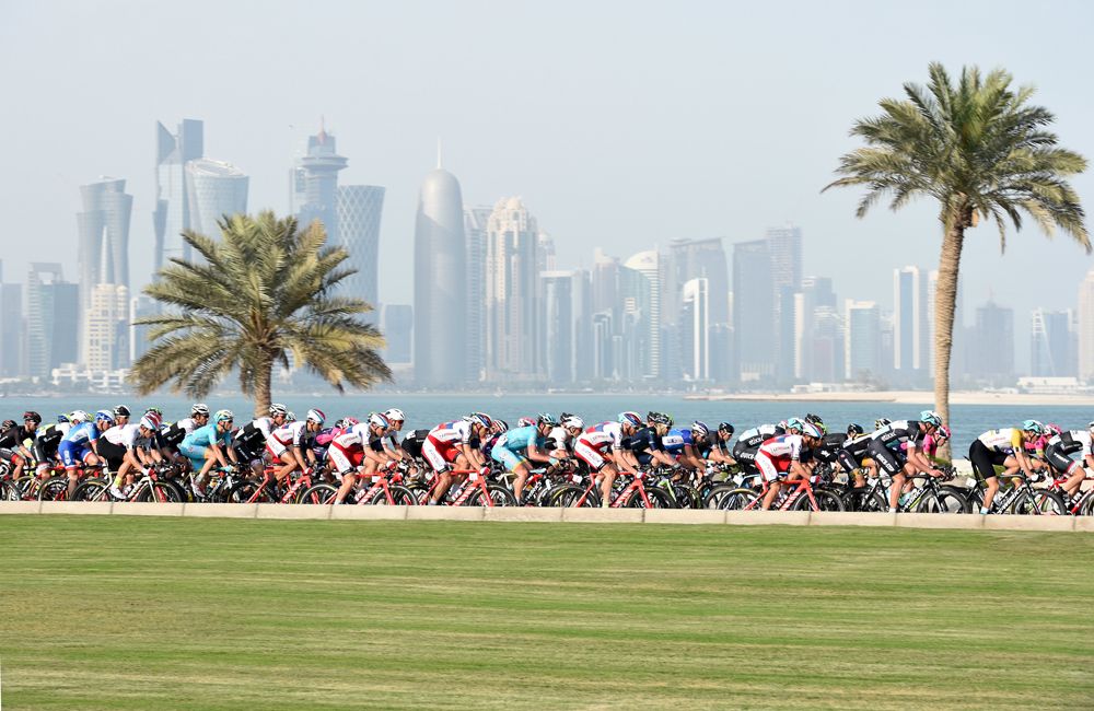 Mundial de Qatar 2016