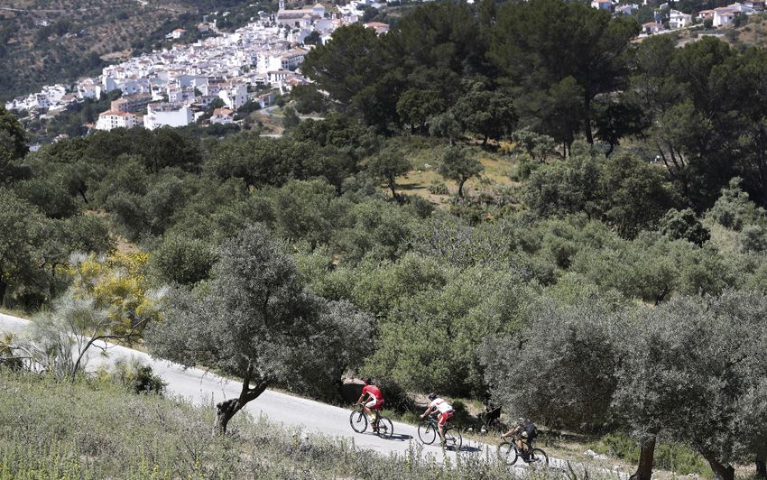 Rutas: Estepona
