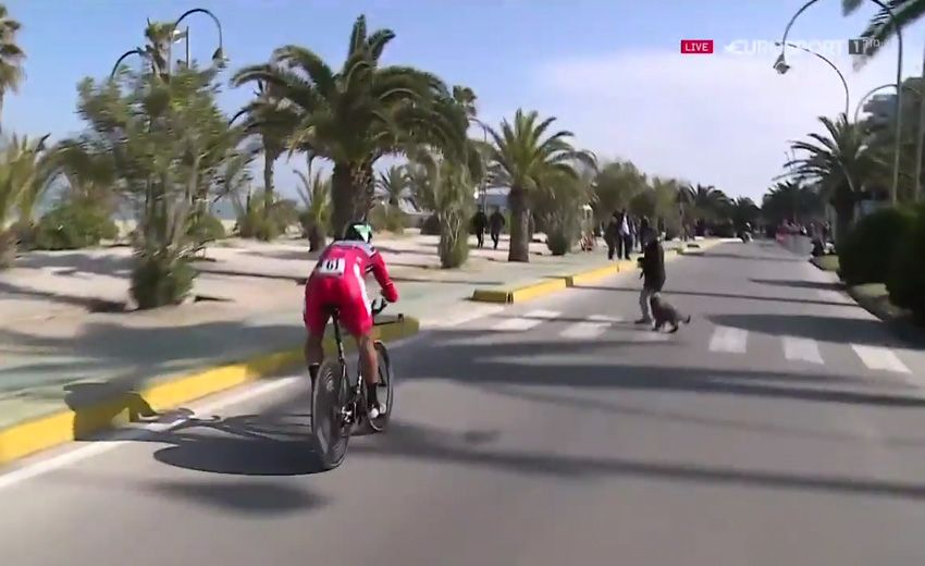 Tirreno-Adriático 2017 / 7º Etapa / San Benedetto del Tronto    San Benedetto del Tronto  / 10 km