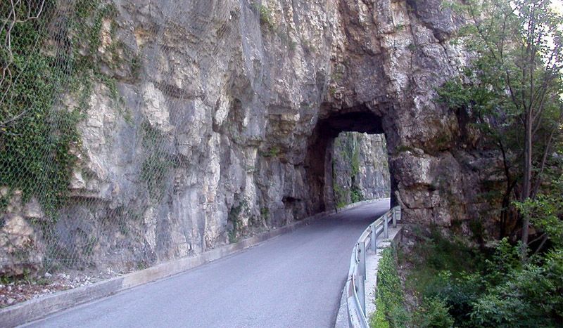 Foza