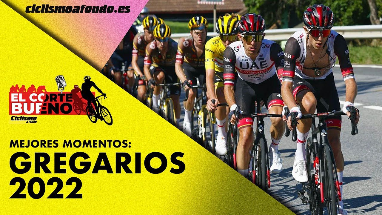  Mejores momentos de los Gregarios 2022.