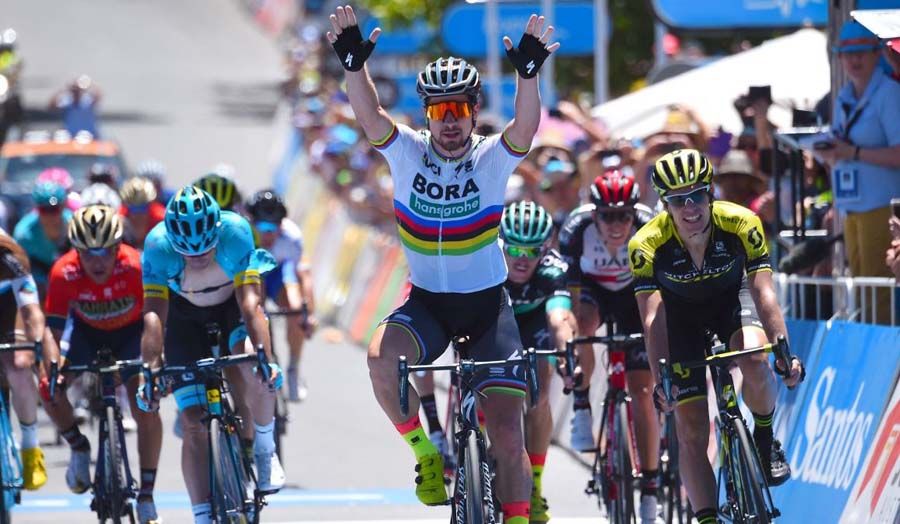 Peter Sagan: su trayectoria en imágenes