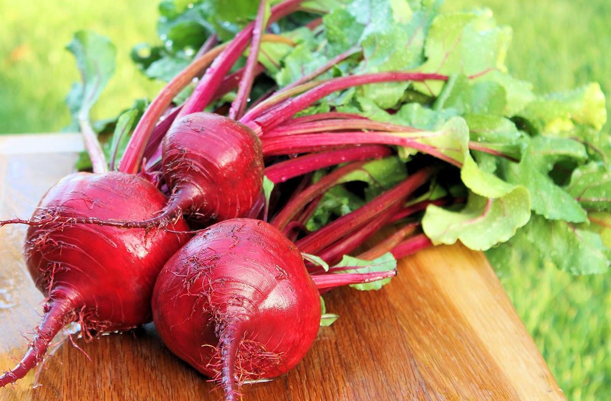 Remolacha roja el superalimento que mejora tu resistencia Remolacha roja el superalimento que mejora tu resistencia