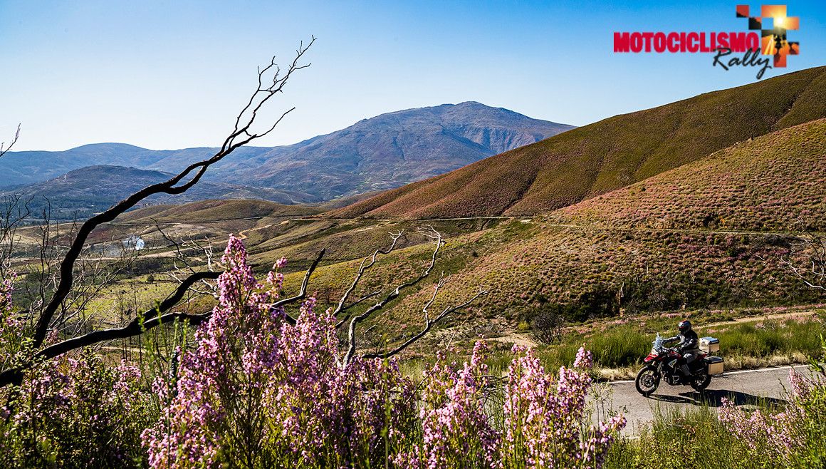 MOTOCICLISMO Rally, ¿aceptas el reto?