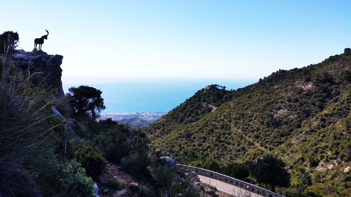 Alto de la Cabra Montés