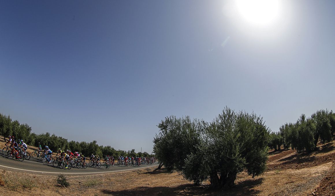 Mucho calor en la octava etapa de la Vuelta 2018.