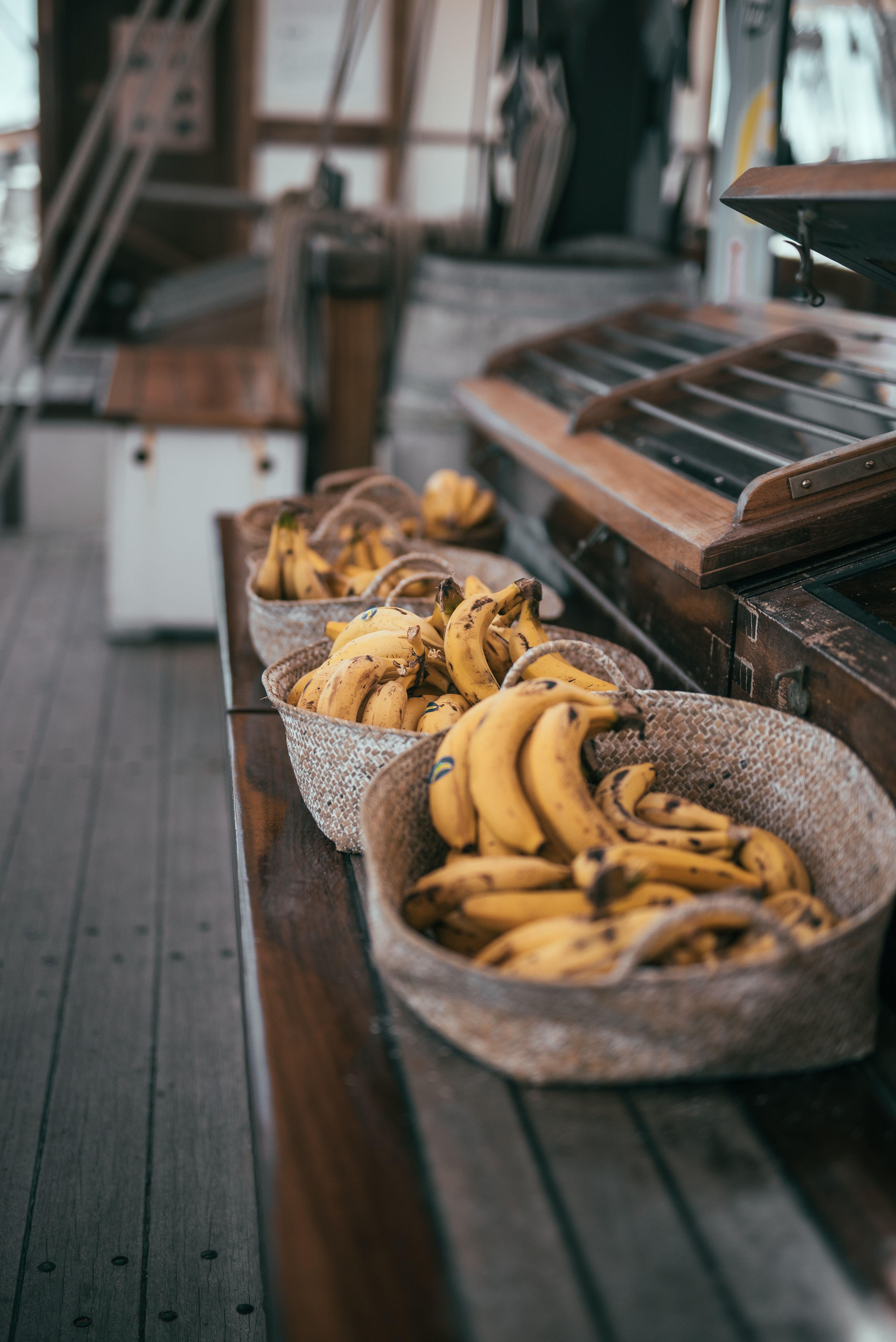 alberto gasco Ydl4YJdVbZo unsplash