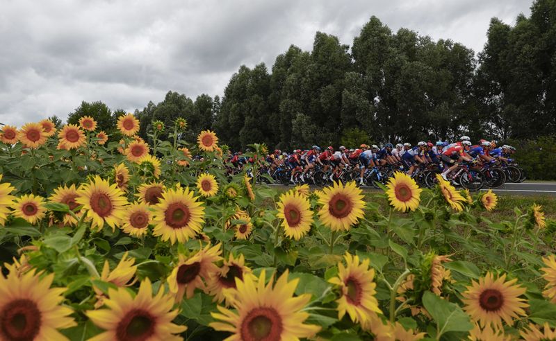 IMG 20230712 WA0003 IMG 20230712 WA0003