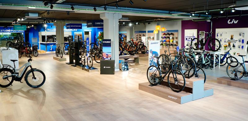 Imagen4