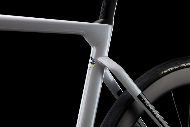 FilanteSL Silver Closeup 04