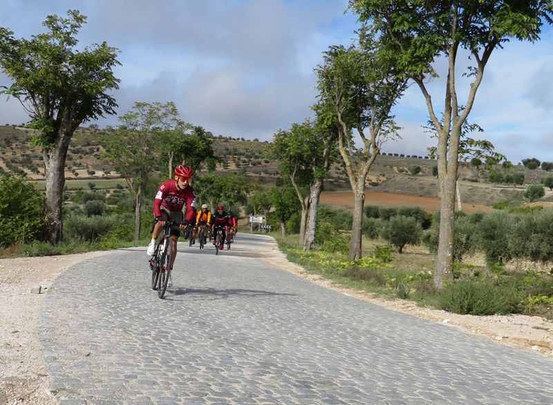 Flanders Experiencie Aranjuez 1