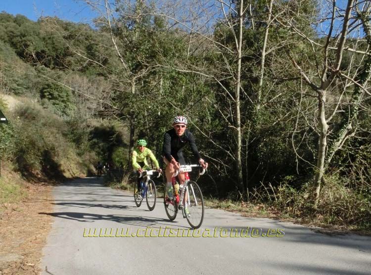 Ports Maresme 2014-1