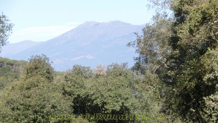 Ports Maresme 2014-1