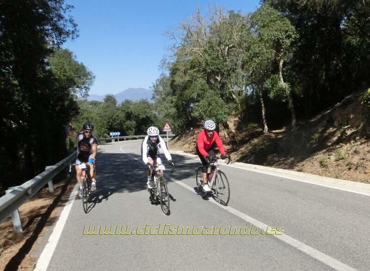 Ports Maresme 2014-1