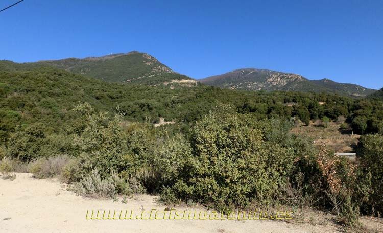Ports Maresme 2014-1