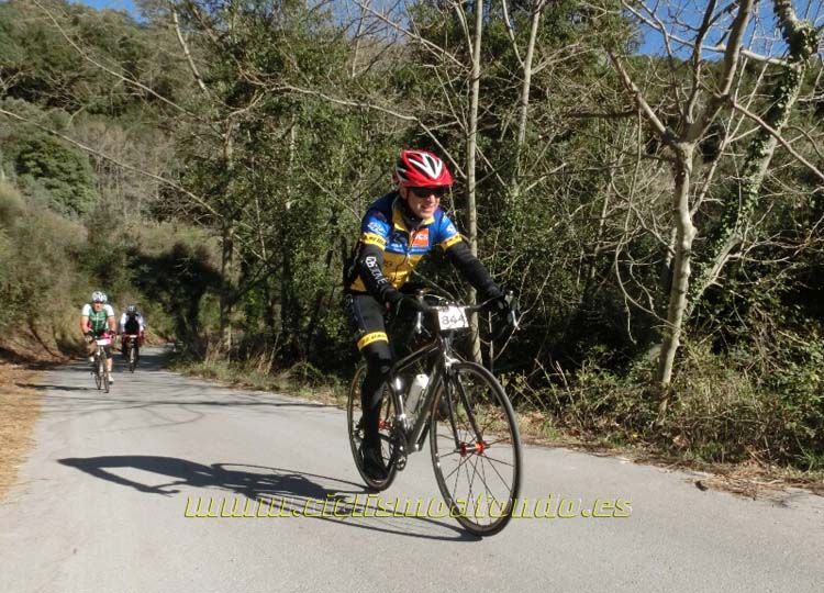 Ports Maresme 2014-1
