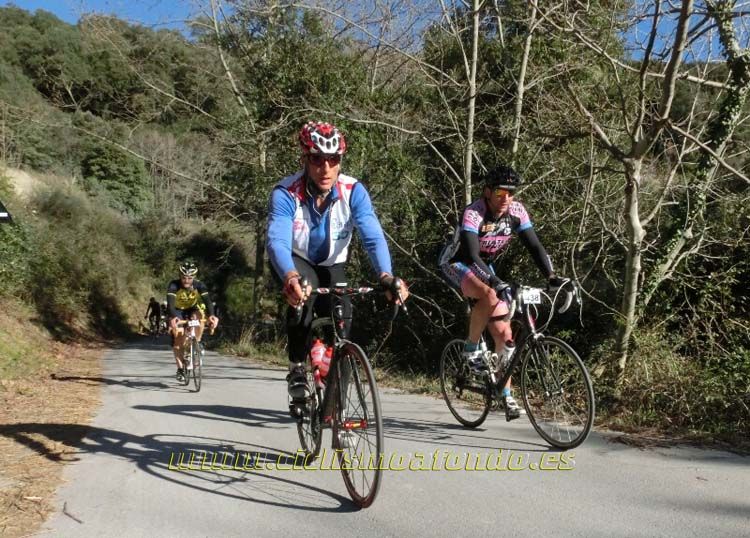 Ports Maresme 2014-1