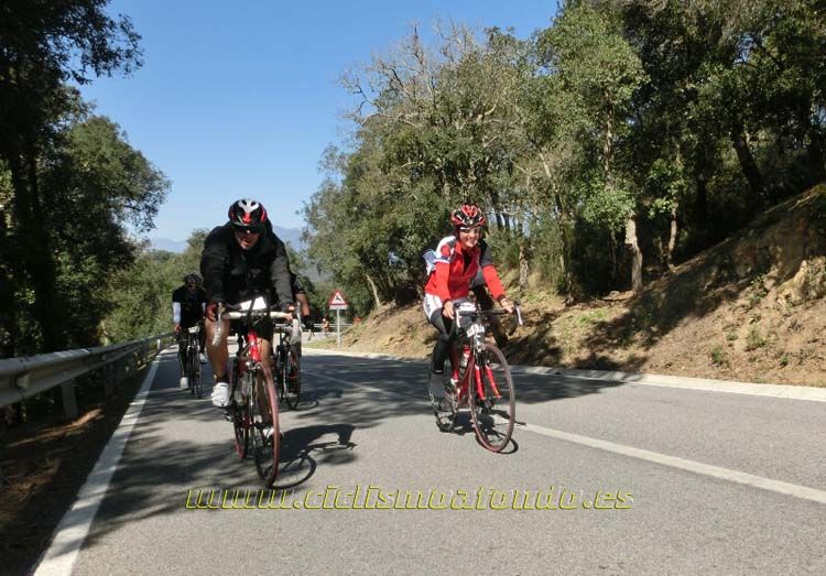 Ports Maresme 2014-1