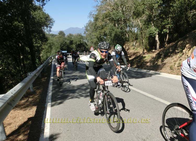 Ports Maresme 2014-1