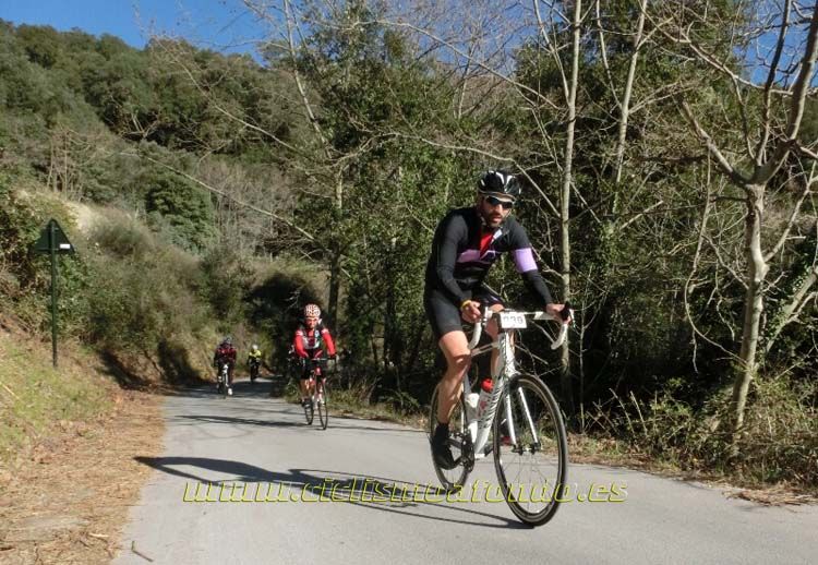 Ports Maresme 2014-1