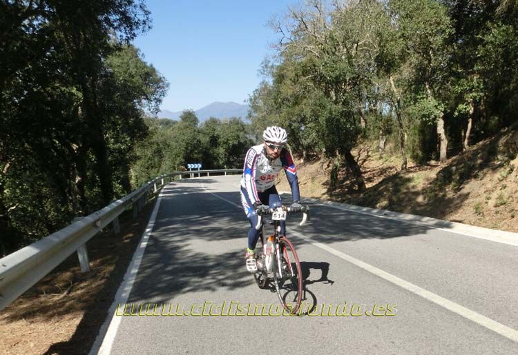 Ports Maresme 2014-1