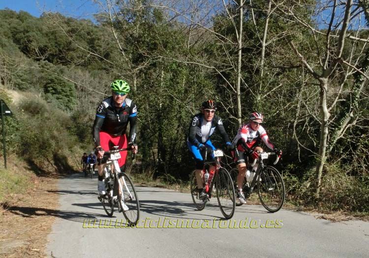 Ports Maresme 2014-1
