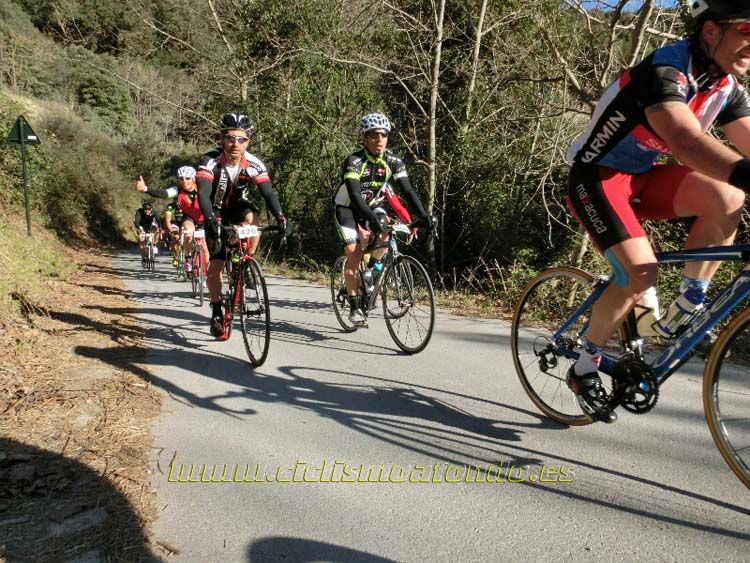 Ports Maresme 2014-1
