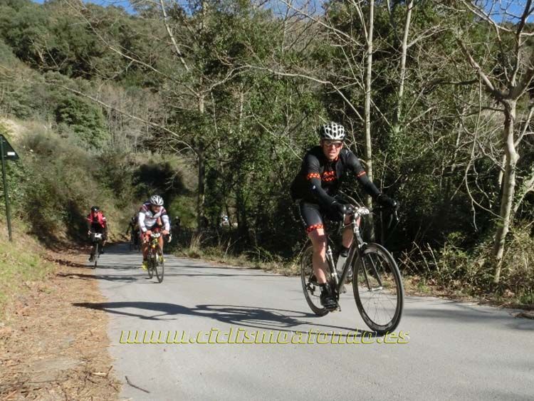 Ports Maresme 2014-1