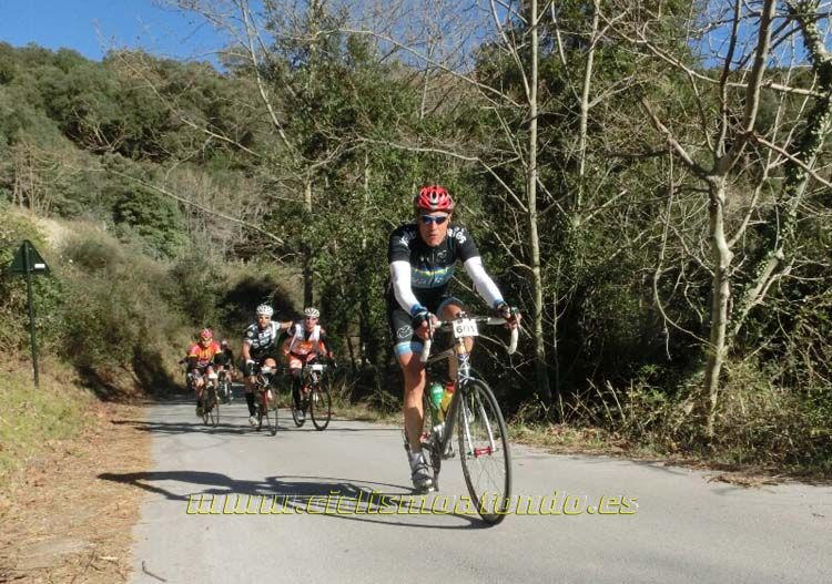 Ports Maresme 2014-1
