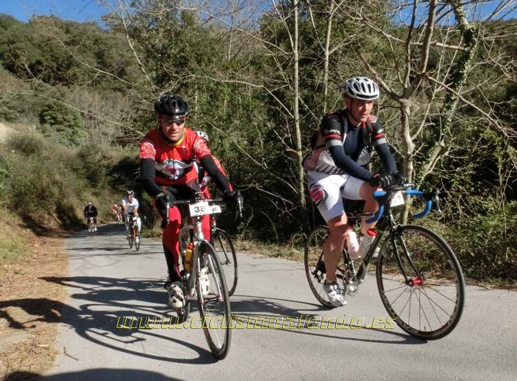 Ports Maresme 2014-1