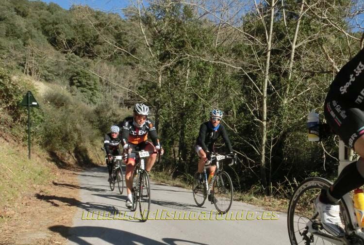 Ports Maresme 2014-1