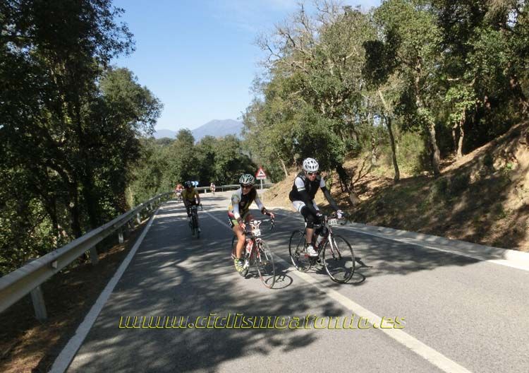Ports Maresme 2014-1