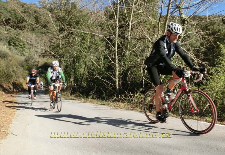 Ports Maresme 2014-1