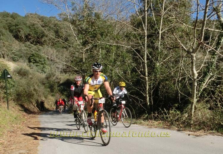 Ports Maresme 2014-1