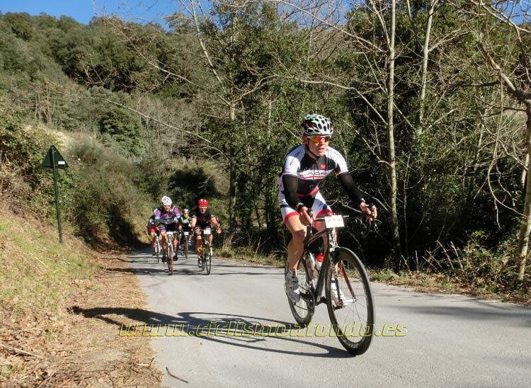 Ports Maresme 2014-1