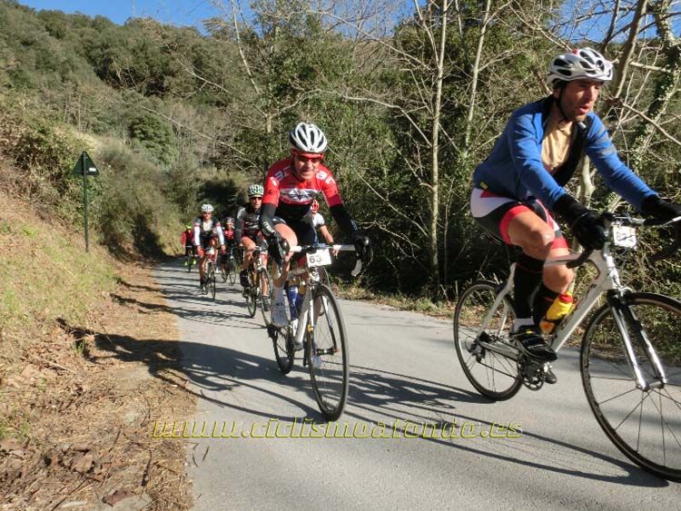 Ports Maresme 2014-1