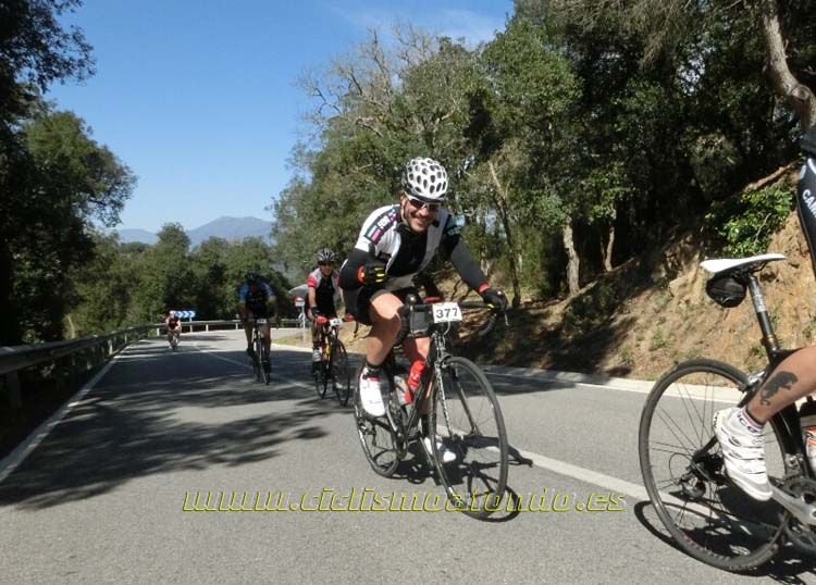 Ports Maresme 2014-1