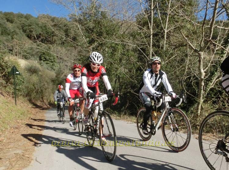 Ports Maresme 2014-1