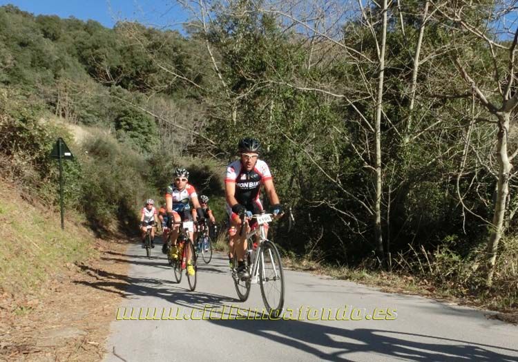 Ports Maresme 2014-1