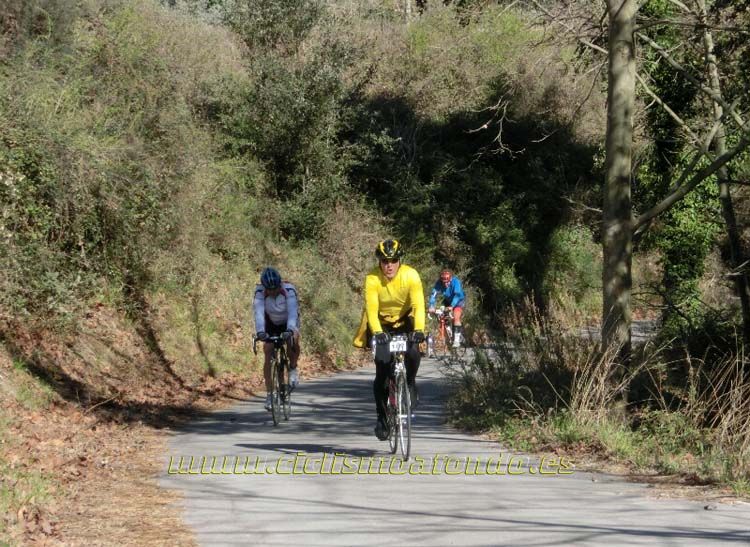 Ports Maresme 2014-1