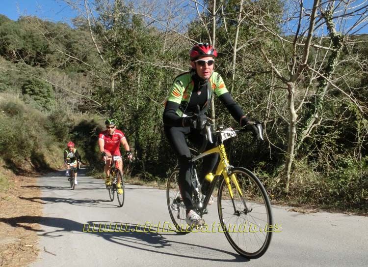 Ports Maresme 2014-1