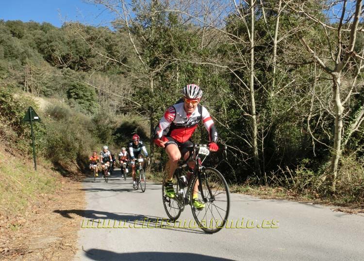 Ports Maresme 2014-1