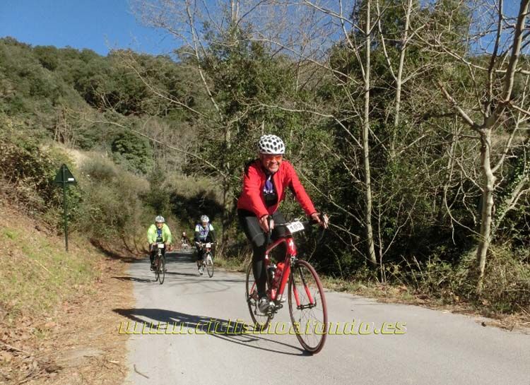 Ports Maresme 2014-1