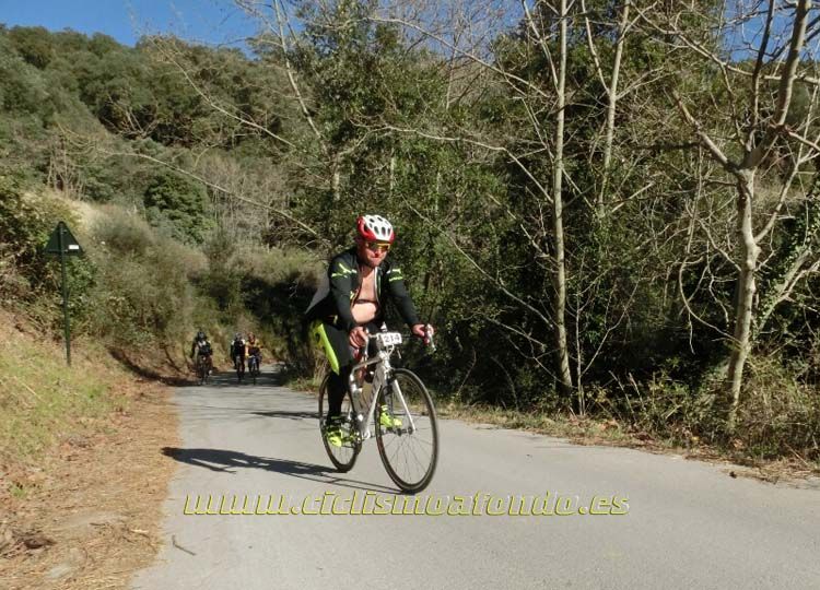 Ports Maresme 2014-1