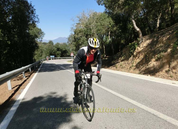 Ports Maresme 2014-1