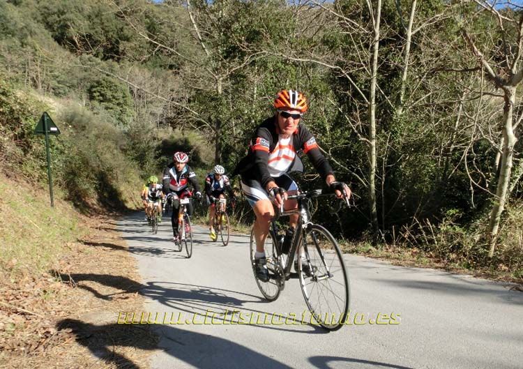 Ports Maresme 2014-1